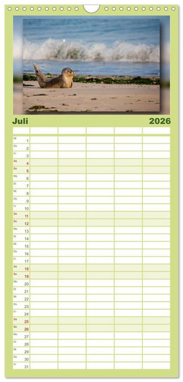 Produktbild: Familienplaner 2026 - Baltrum - Ein Tag am Strand mit 5 Spalten (Wandkalender, 21 x 45 cm) CALVENDO
