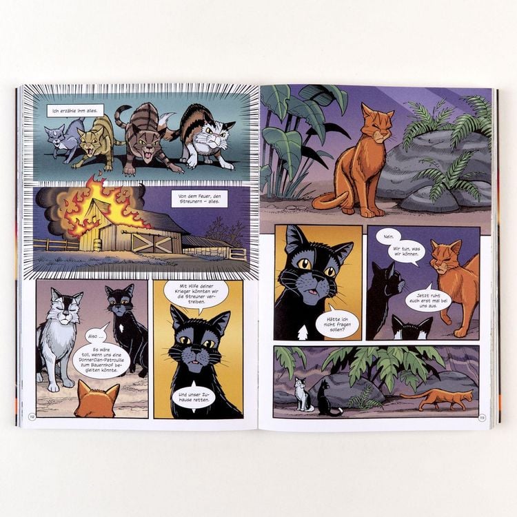 Produktbild: Warrior Cats - Rabenpfotes Weg