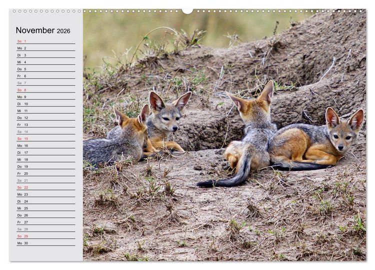 Produktbild: Afrikas wildes Kinderzimmer (Wandkalender 2026 DIN A2 quer), CALVENDO Monatskalender
