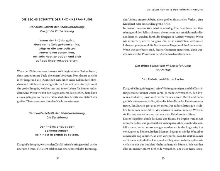 Die Phönixerfahrung