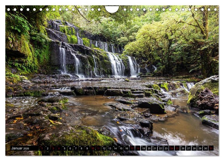 Produktbild: Waldwasser (Wandkalender 2026 DIN A4 quer), CALVENDO Monatskalender