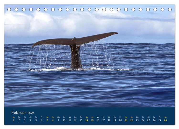 Produktbild: Faszinierende Tierwelt von Mauritius - Magische Momente der Natur (Tischkalender 2026 DIN A5 quer), CALVENDO Monatskalender