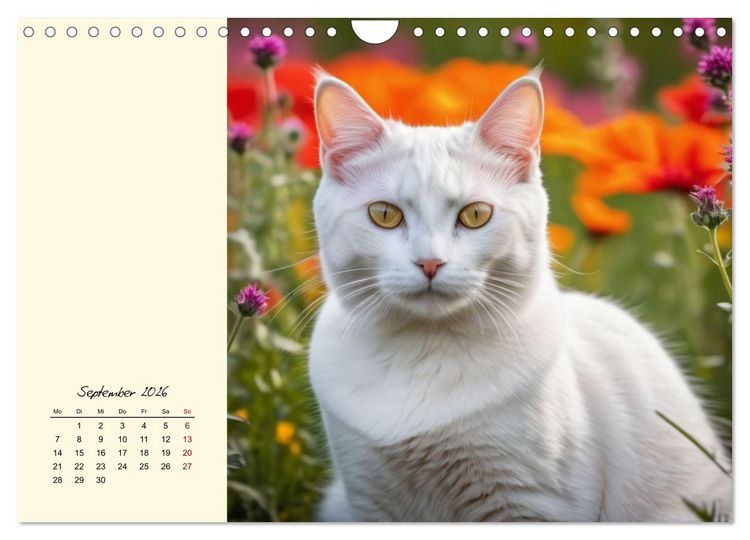 Produktbild: Samtpfoten im Bl&uuml;tenmeer (Wandkalender 2026 DIN A4 quer), CALVENDO Monatskalender