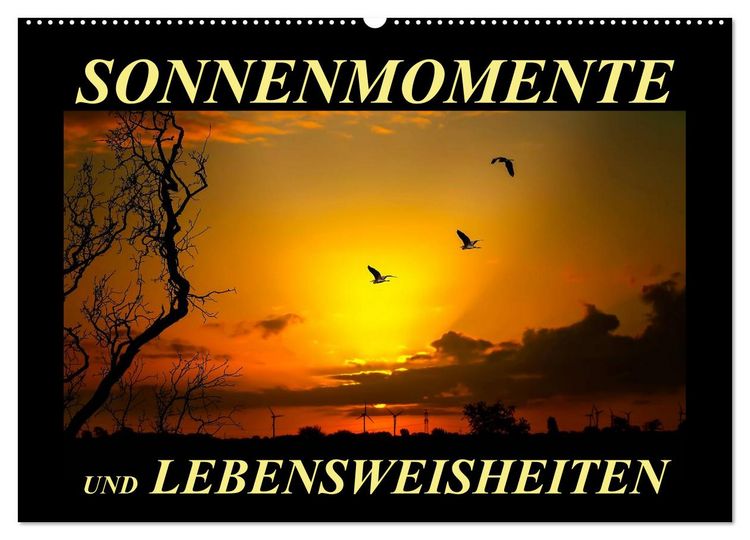Produktbild: Sonnenmomente und Lebensweisheiten (Wandkalender 2026 DIN A2 quer), CALVENDO Monatskalender