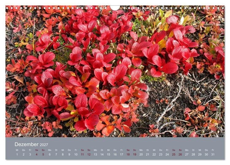Produktbild: Kamtschatka - Vulkane, Asche, Eis (Wandkalender 2027 DIN A3 quer), CALVENDO Monatskalender