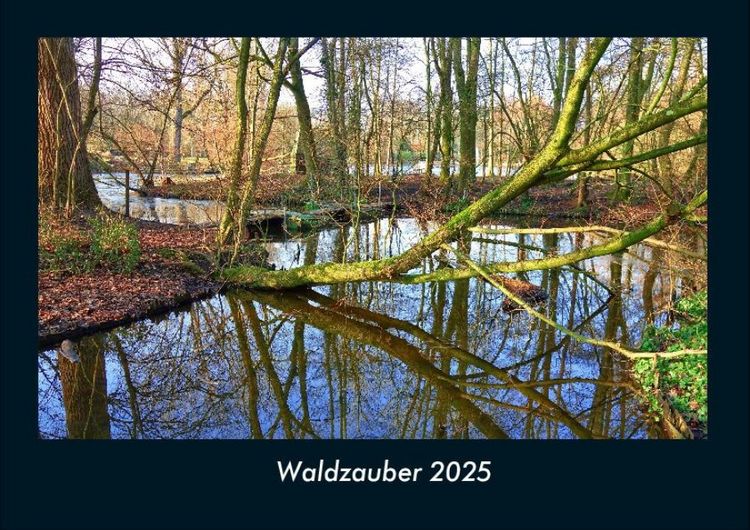 Produktbild: Waldzauber 2025 Fotokalender DIN A4