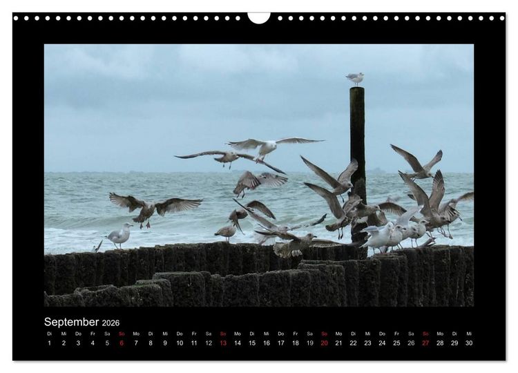 Produktbild: An der Nordsee (Wandkalender 2026 DIN A3 quer), CALVENDO Monatskalender