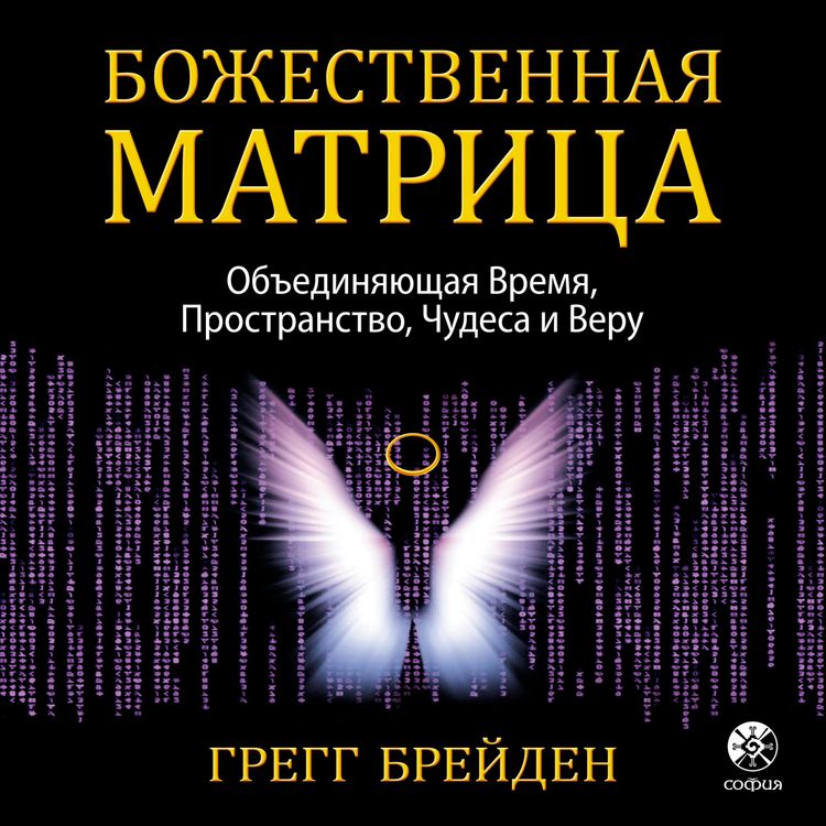 Produktbild: The Divine Matrix
