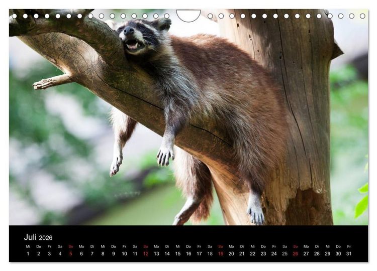 Produktbild: Tierkalender 2026 (Wandkalender 2026 DIN A4 quer), CALVENDO Monatskalender