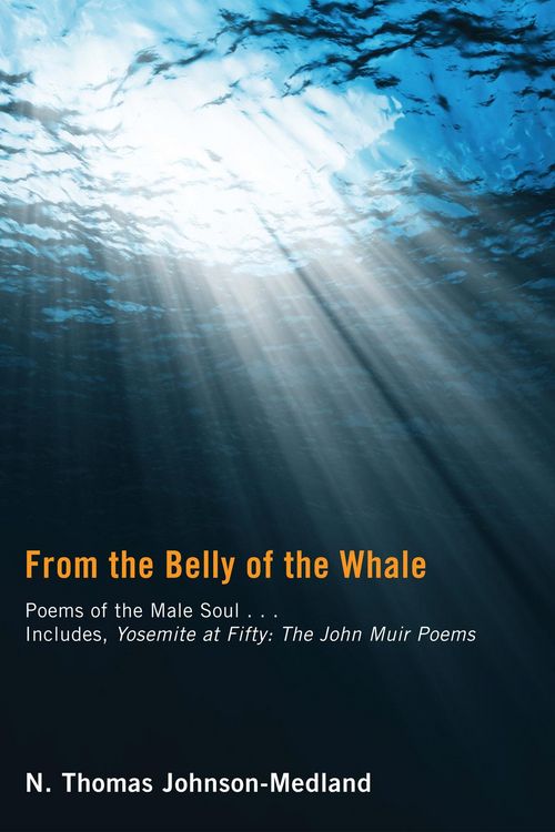 Produktbild: From the Belly of the Whale