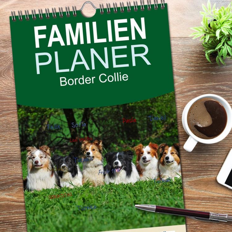 Produktbild: Familienplaner 2026 - Border Collie 2026 mit 5 Spalten (Wandkalender, 21 x 45 cm) CALVENDO
