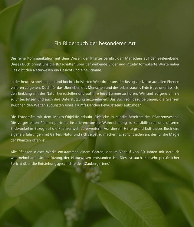 Produktbild: Imaginationen