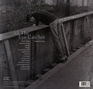 Produktbild: All the Eye Can See, 2 Schallplatten (180g)