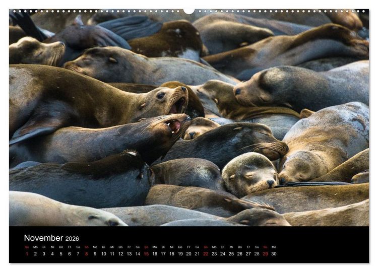 Produktbild: Die Oregon-K&uuml;ste (Wandkalender 2026 DIN A2 quer), CALVENDO Monatskalender