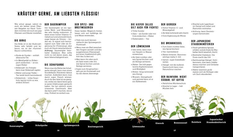 Produktbild: Outdoor Kochen &ndash; Ohne Strom und ohne Schnickschnack mit den Naturens&ouml;hnen