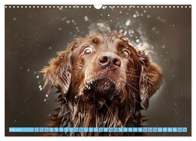 Produktbild: Hunde und Wasser (Wandkalender 2026 DIN A3 quer), CALVENDO Monatskalender