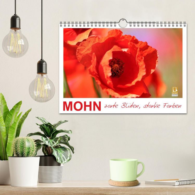 Produktbild: Mohn, zarte Bl&uuml;ten, starke Farben (Wandkalender 2026 DIN A4 quer), CALVENDO Monatskalender