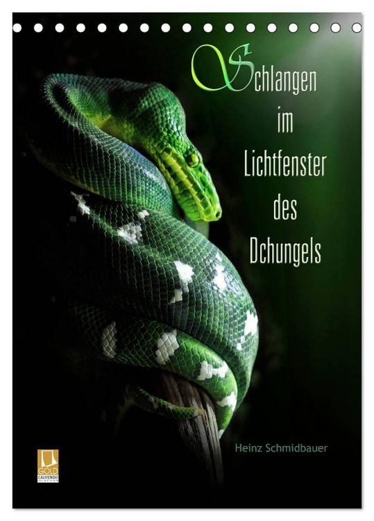 Produktbild: Schlangen im Lichtfenster des Dschungels (Tischkalender 2026 DIN A5 hoch), CALVENDO Monatskalender