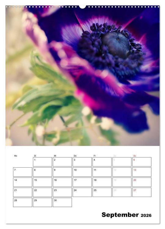 Produktbild: Zauberhafte Bl&uuml;tenwelt / Planer (Wandkalender 2026 DIN A2 hoch), CALVENDO Monatskalender