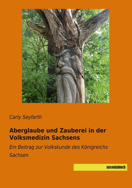 Produktbild: Aberglaube und Zauberei in der Volksmedizin Sachsens