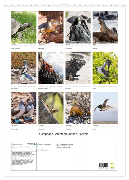 Produktbild: Galapagos - Atemberaubende Tierwelt (Wandkalender 2026 DIN A2 hoch), CALVENDO Monatskalender