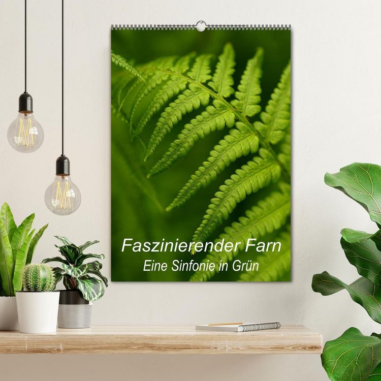Produktbild: Faszinierender Farn - Eine Sinfonie in Gr&uuml;n (Wandkalender 2026 DIN A2 hoch), CALVENDO Monatskalender