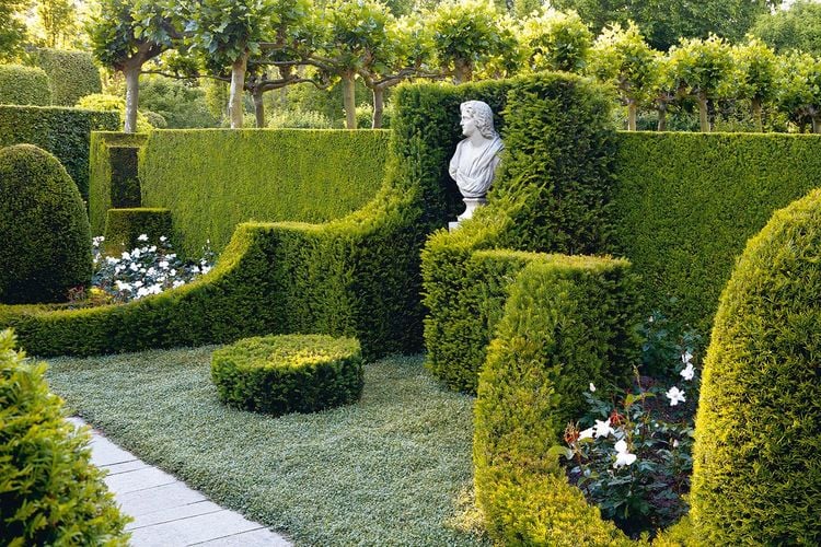 Produktbild: Sichtschutz im Garten