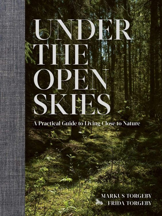 Produktbild: Under the Open Skies