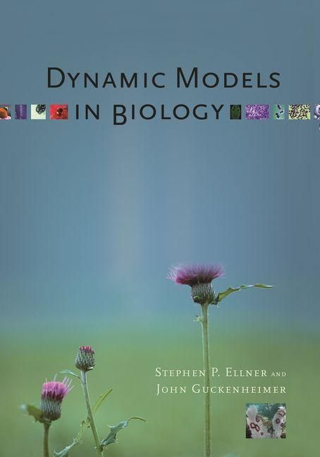 Produktbild: Dynamic Models in Biology