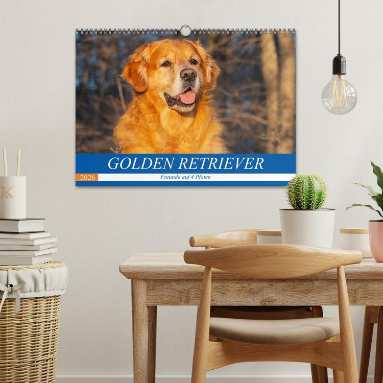 Produktbild: Golden Retriever - Freunde auf 4 Pfoten (Wandkalender 2026 DIN A3 quer), CALVENDO Monatskalender