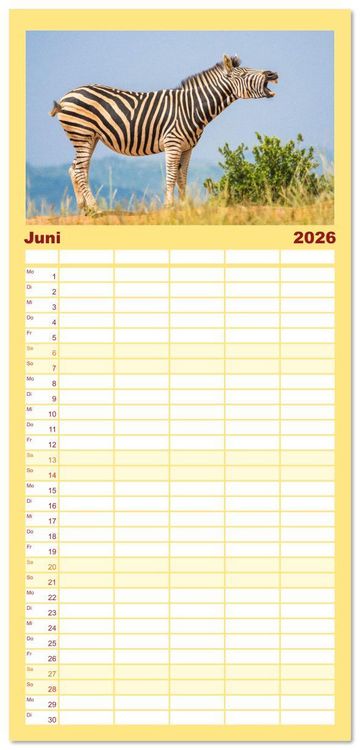 Produktbild: Familienplaner 2026 - Zebras - Die gestreiften Vierbeiner. mit 5 Spalten (Wandkalender, 21 x 45 cm) CALVENDO
