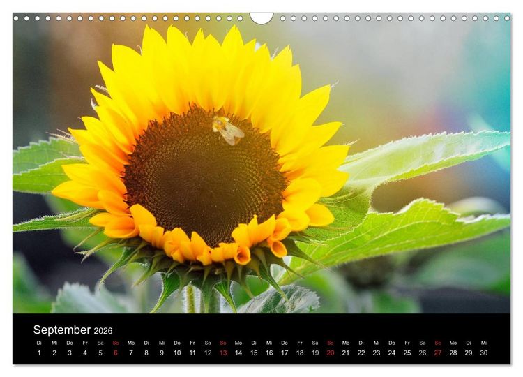 Produktbild: Jahreszeiten / 2026 (Wandkalender 2026 DIN A3 quer), CALVENDO Monatskalender