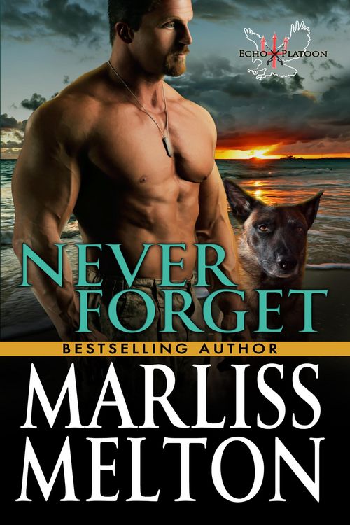 Produktbild: Never Forget