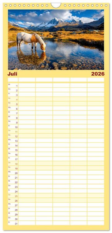 Produktbild: Familienplaner 2026 - Westernwelt mit 5 Spalten (Wandkalender, 21 x 45 cm) CALVENDO