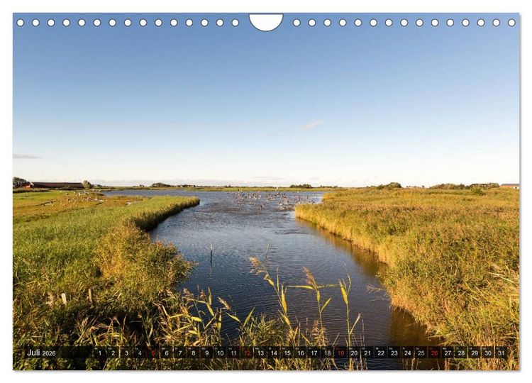 Produktbild: Pellworm 2026 (Wandkalender 2026 DIN A4 quer), CALVENDO Monatskalender