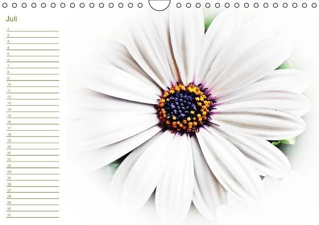 Produktbild: Bl&uuml;tentr&auml;ume - ganz in wei&szlig; / Geburtstagskalender (Wandkalender immerw&auml;hrend DIN A4 quer)