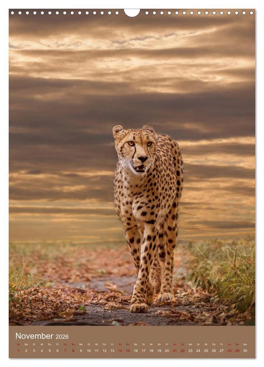 Produktbild: Portraits of Animals (Wandkalender 2026 DIN A3 hoch), CALVENDO Monatskalender