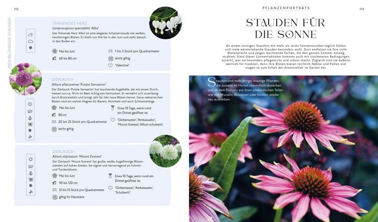 Produktbild: Bl&uuml;tenpracht und Erntegl&uuml;ck &ndash; Dein Weg zum Traumgarten