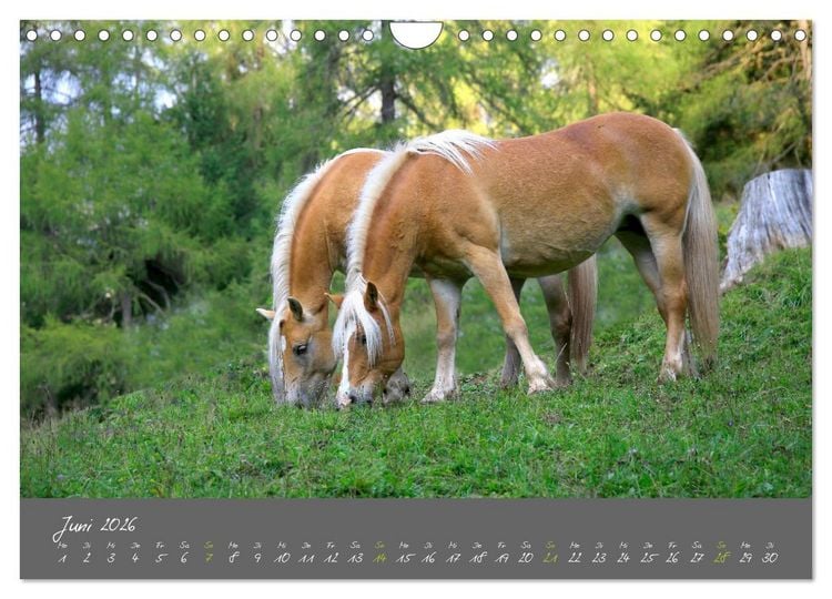 Produktbild: Romantisches S&uuml;dtirol (Wandkalender 2026 DIN A4 quer), CALVENDO Monatskalender