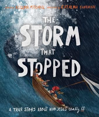 Produktbild: The Storm That Stopped Storybook