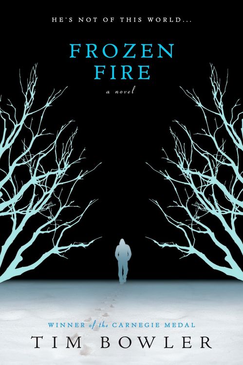Produktbild: Frozen Fire