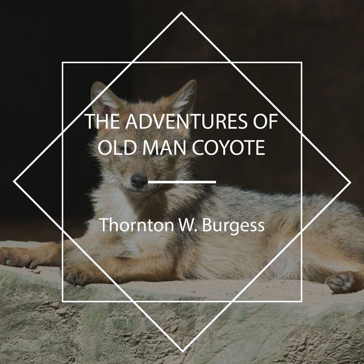 Produktbild: The Adventures of Old Man Coyote
