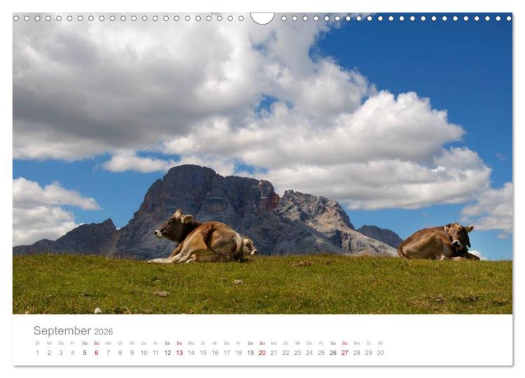 Produktbild: Bekannte und unbekannte Almen in S&uuml;dtirol (Wandkalender 2026 DIN A3 quer), CALVENDO Monatskalender