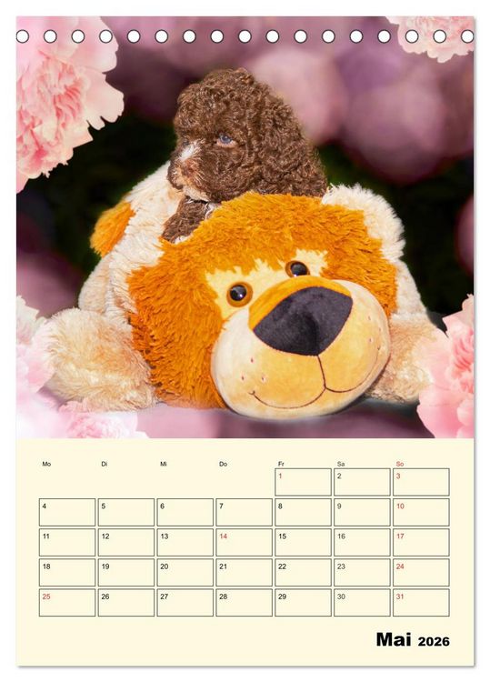 Produktbild: Jahresplaner Lagotto Romagnolo Welpen (Tischkalender 2026 DIN A5 hoch), CALVENDO Monatskalender