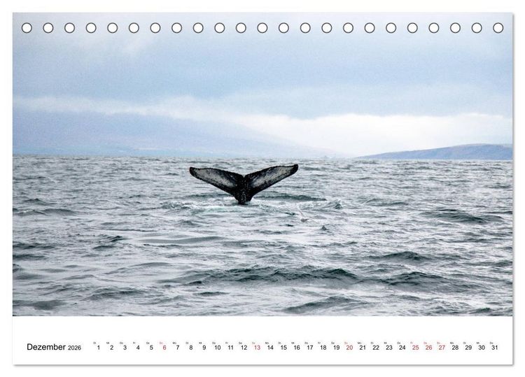 Produktbild: ISLAND Atemberaubende Natur aus Feuer und Eis (Tischkalender 2026 DIN A5 quer), CALVENDO Monatskalender