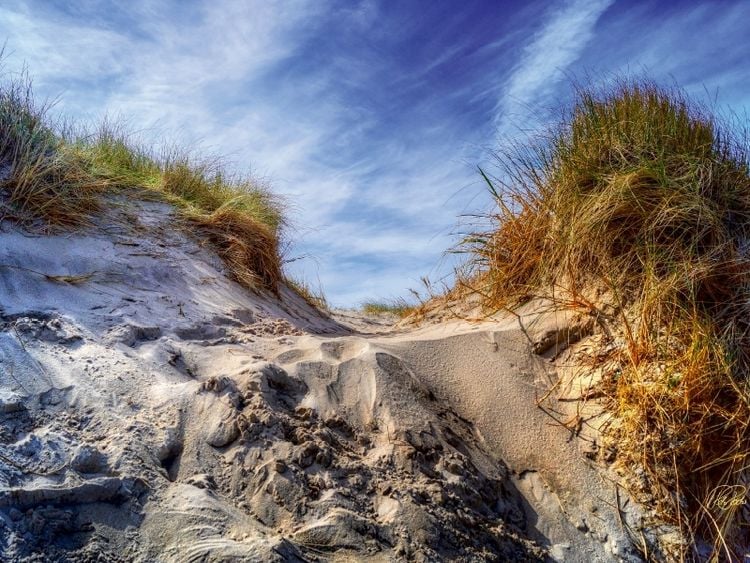 Produktbild: CALVENDO Puzzle Nordsee-D&uuml;nen | 1000 Teile Lege-Gr&ouml;&szlig;e 64x48cm Foto-Puzzle f&uuml;r gl&uuml;ckliche Stunden