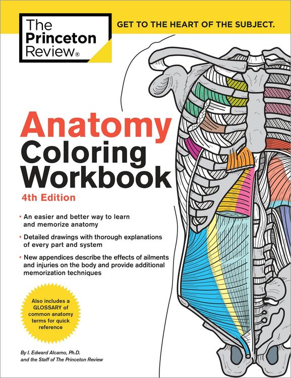 Produktbild: Anatomy Coloring Workbook, 4th Edition