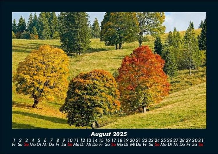 Produktbild: B&auml;ume 2025 Fotokalender DIN A5