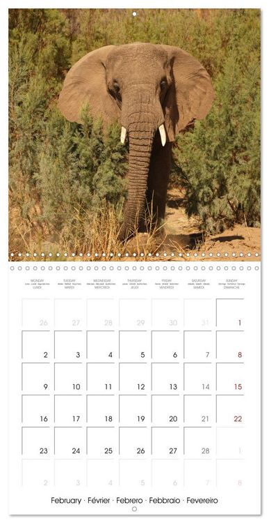 Produktbild: Namibian Adventure (Wall Calendar 2026 12 &times; 12 Inch) CALVENDO 12 Month Wall Calendar