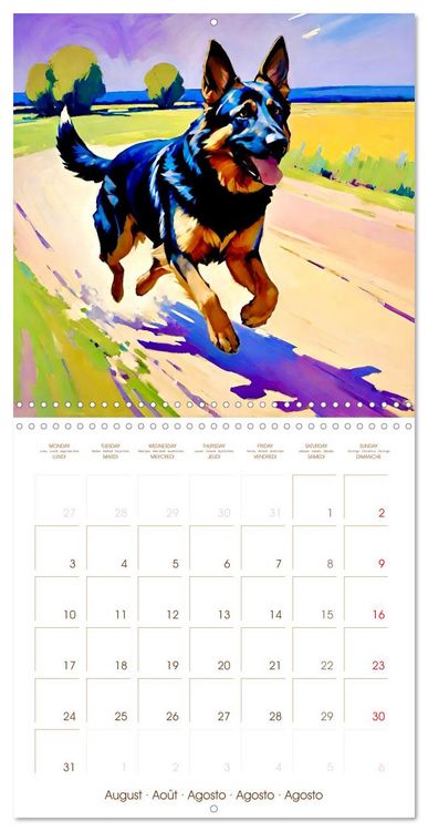 Produktbild: German Shepherd. The majestic character of a noble breed (Wall Calendar 2026 12 &times; 12 Inch) CALVENDO 12 Month Wall Calendar